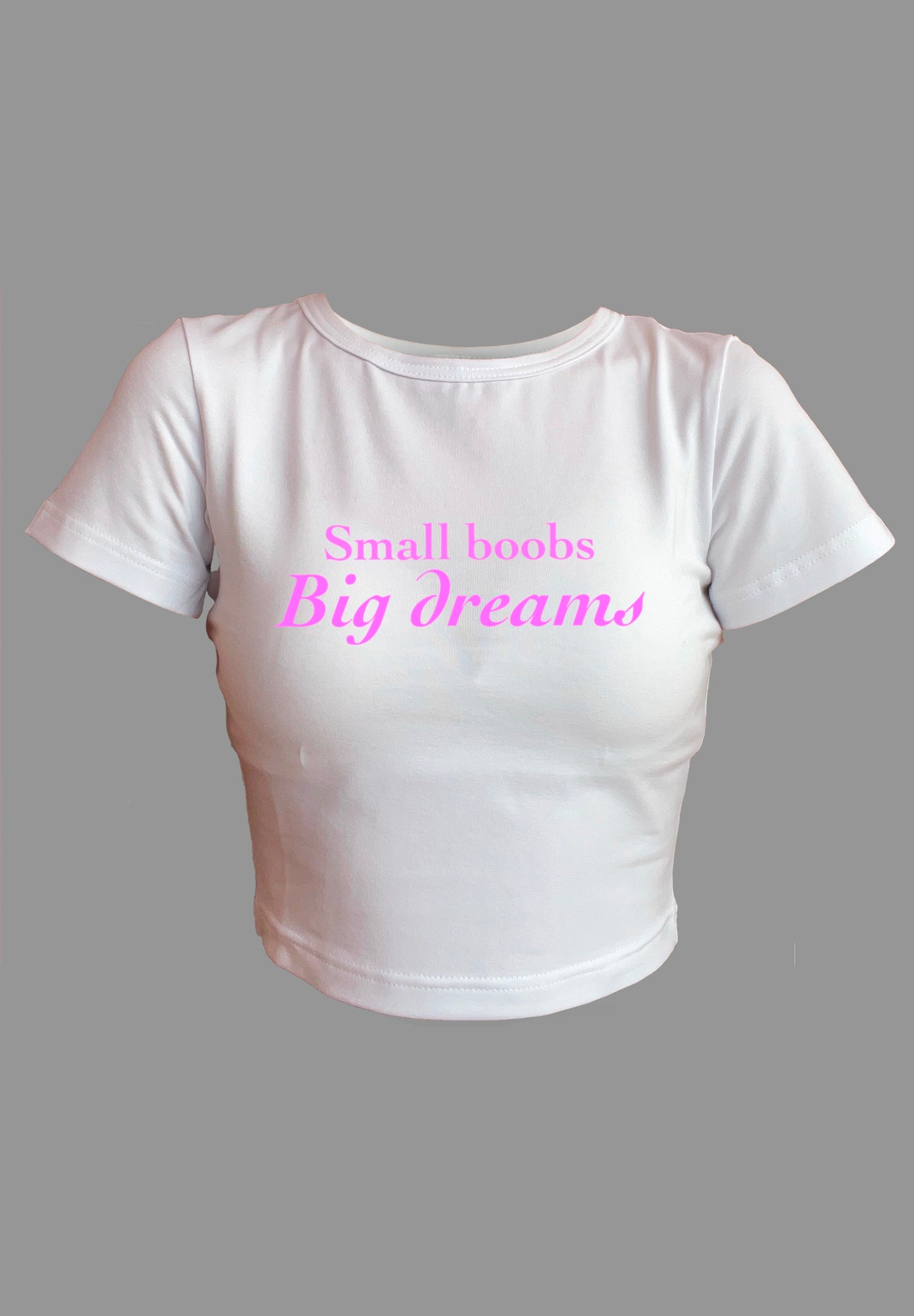 Small Boobs Big Dreams Print Crop Top Adult Humor Fun Flirty Print